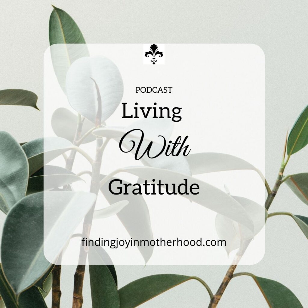 gratitude journal