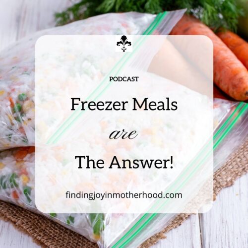 Freezer Meals are the Answer! - Finding Joy in Motherhood